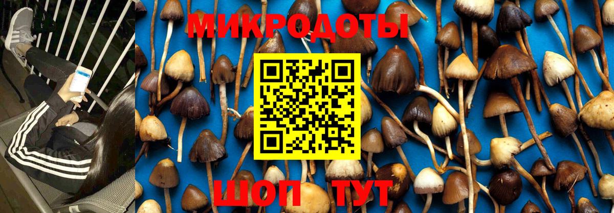 Каменск-Уральский  Псилоцибиновые грибы прущие грибы  Вход с VPN 